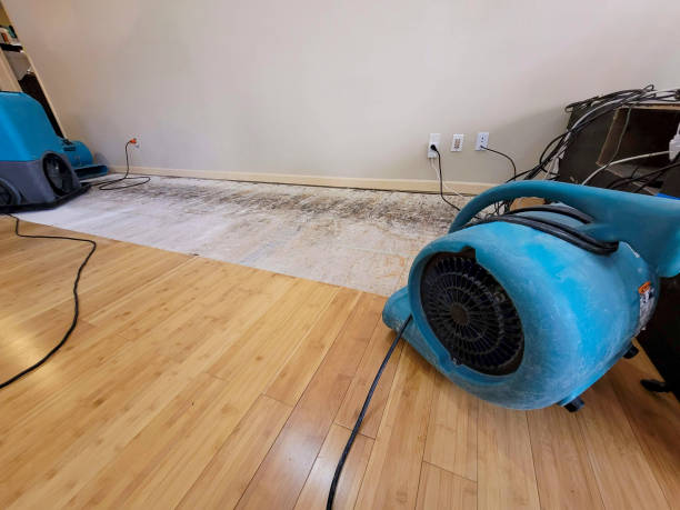 Professional Basement Flood Cleanup technician working in Otis Orchards, WA